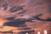 animated gifs