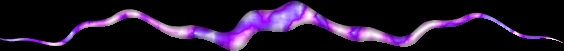 animated gifs