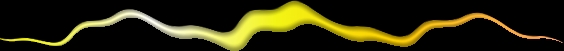 animated gifs