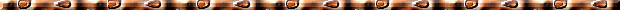 animated gifs
