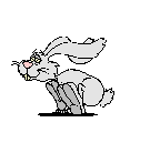 animated gifs