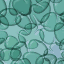 animated gifs