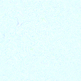 animated gifs