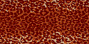 animated gifs