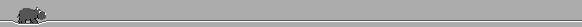 animated gifs
