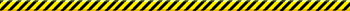 animated gifs