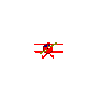 animated gifs