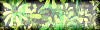 animated gifs